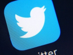 Twitter призначив в Індії «представника з вирішення образ»