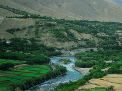 Талибы отключили интернет в незахваченном Панджшере