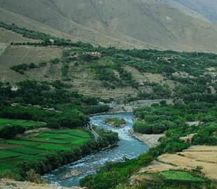 Талибы отключили интернет в незахваченном Панджшере