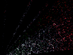 Астрофизики создают 3D карту Вселенной: на нее нанесены уже 7,5 млн галактик