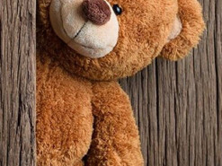 Суд оштрафував чоловіка, який зашив камеру в плюшевого ведмедика для стеження за нянькою