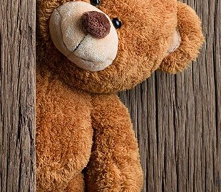 Суд оштрафував чоловіка, який зашив камеру в плюшевого ведмедика для стеження за нянькою