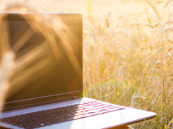 Цензура, жорсткіша ніж у РФ: як працює інтернет у тимчасово окупованому Херсоні