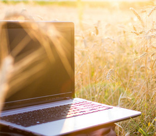 Цензура, жорсткіша ніж у РФ: як працює інтернет у тимчасово окупованому Херсоні