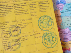 Суд вынес первый приговор за использование поддельного ковид-сертификата