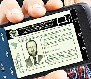 В Бразилии ввели электронные права