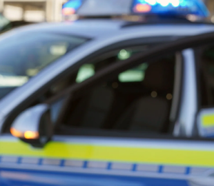 Німецька поліція обшукала житло чоловіка, який опублікував відео зі стріляниною в Мерца