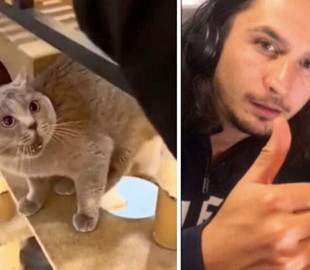 Южноафриканский музыкант покорил “коллаборацией” с котом
