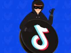 На Городенківщині жінка віддала шахраю з TikTok 250 тисяч за «визволення» чоловіка з ТЦК
