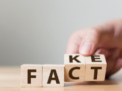 Google хочет научить детей распознавать дезинформацию в сети