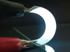 Ученые создали гибкий дисплей для гаджетов из рыбьей чешуи