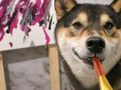 У Канаді малюнки собаки продали за 5 тисяч доларів: курйозні фото