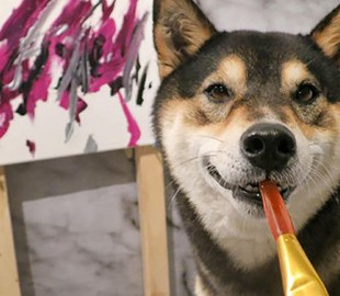 У Канаді малюнки собаки продали за 5 тисяч доларів: курйозні фото