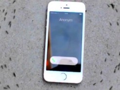 Муравьи танцуют вокруг iPhone, когда играет стандартный рингтон