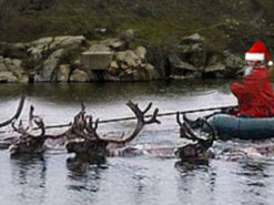 Какая погода - такие и сани: Новый год 2021 высмеяли меткой фотожабой с Дедом Морозом