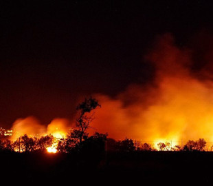 В сеть попало видео бушующих пожаров на западе США