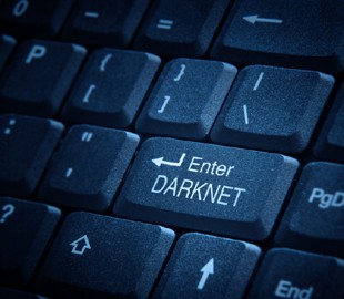 Самый известный в Darknet сайт создали украинцы - киберполиция