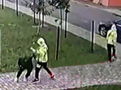 Проверят психику: близнецов из Ровно подозревают в нападении из-за компьютерных игр