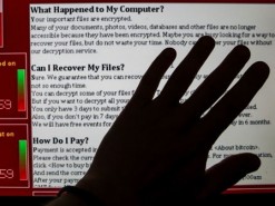 Прокуратура Парижа просит украинскую полицию найти хакеров