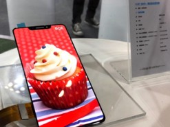 BOE показала шестидюймовый дисплей AMOLED, похожий на экран iPhone X