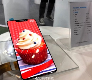 BOE показала шестидюймовый дисплей AMOLED, похожий на экран iPhone X