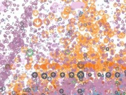 Google создала произведение искусства, используя трафик облачного сервиса