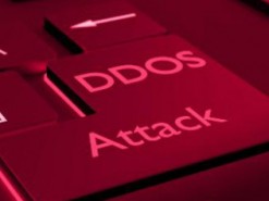 За год средняя мощность DDoS-атак упала на 85%