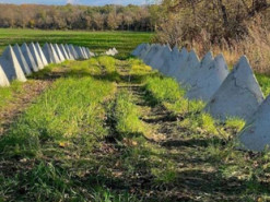 У Бєлгородській області РФ почали будувати оборонну лінію