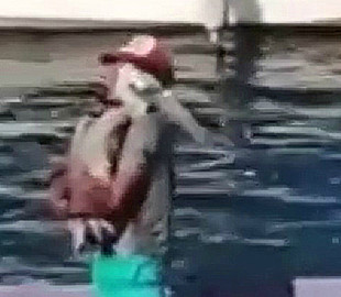 В Сети показали любвеобильного пеликана: полез с обнимашками к рыбаку