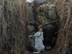 Снимок украинца о войне и любимцах ВСУ стал фото дня в Reuters