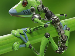 Ученые создали первых "живых роботов"