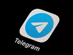 Заборона Telegram: які виші обмежили використання месенджера