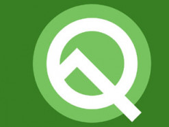 Какую пасхалку Google спрятала в Android Q