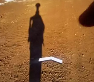 На Google Maps нашли «тень инопланетянина», которая вызвала бурное обсуждение в сети