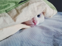 Зима без опалення: чим треба обзавестися до настання холодів