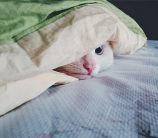 Зима без опалення: чим треба обзавестися до настання холодів