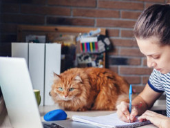 Киевский университет им. Карпенко-Карого отказался переходить на "дистанционку"