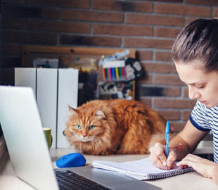 Киевский университет им. Карпенко-Карого отказался переходить на "дистанционку"