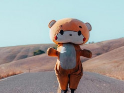 Необычный рекорд: мужчина прошел 770 километров в костюме медведя