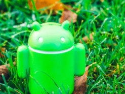 Android на ноутбуках: що відомо про секретний проєкт Google