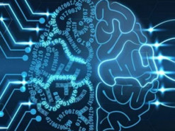 Нейросеть Google составила цветовую карту высокой моды