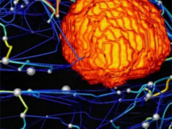 Рак мозга: ученые в шаге от виртуальных операций
