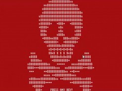 Судили «распространителя вируса Petya.A»