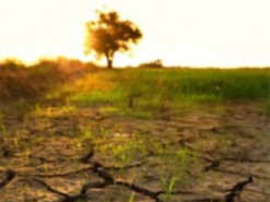 Наслідки відчуває навіть Африка: як вторгнення Росії вплинуло на зміну клімату