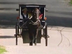 Амиши запустили собственный Uber. С лошадью и каретой