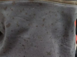 5 примеров работ горе-дизайнеров, которые вывели из себя интернет-пользователей. Фото