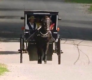 Амиши запустили собственный Uber. С лошадью и каретой
