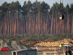 Германия оштрафует Tesla за незаконное строительство