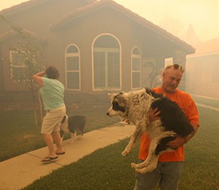 Жителей Калифорнии оставили без предупреждения о пожаре