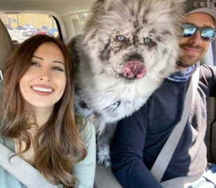 Собака породи чау-чау стала зіркою Мережі через незвичайне забарвлення